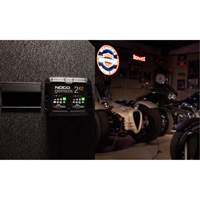 Genius&reg; 2X2 2-Bank, 4-Amp Battery Charger Nia-Chem Ltd.