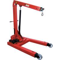 Electro Hydraulic Floor Crane, 6613.87 lbs. (3 tons) Capacity Nia-Chem Ltd.