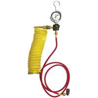 Ensemble pour test de fuite dazote pour climatisation automobile avec r&eacute;gulateur Nia-Chem Ltd.