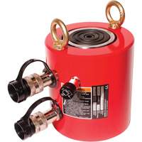 High Tonnage Hydraulic Cylinder, 1.97" Stroke, 100 Ton(s) Capacity, 10000 PSI Nia-Chem Ltd.