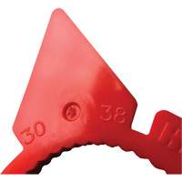 Indicateur d'&eacute;crous de tailles multiples desserr&eacute;s HexChex Nia-Chem Ltd.