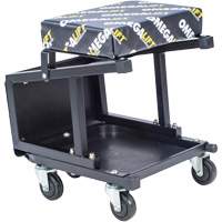Si&egrave;ge tabouret 2 en 1 Nia-Chem Ltd.
