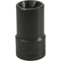 E-20 Torx&reg; Socket Nia-Chem Ltd.