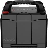 Group 24 90Ah Lithium Dual-Purpose Battery Nia-Chem Ltd.