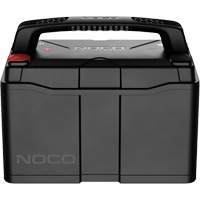 Group 31 120Ah Lithium-Ion LiFePO4 Dual-Purpose Battery Nia-Chem Ltd.