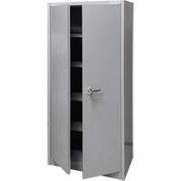 Storage Cabinet, Steel, 4 Shelves, 66" H x 30" W x 15" D, Grey Nia-Chem Ltd.
