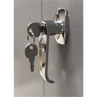 Storage Cabinet, Steel, 4 Shelves, 66" H x 30" W x 15" D, Grey Nia-Chem Ltd.