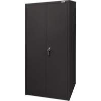 Storage Cabinet, Steel, 4 Shelves, 66" H x 30" W x 15" D, Black Nia-Chem Ltd.