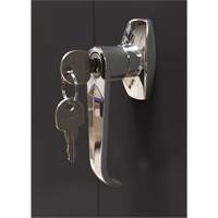 Armoire d'entreposage, Acier, 4 Tablettes, 78" h x 36" la x 24" P, Noir Nia-Chem Ltd.