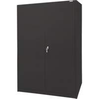 Armoire d'entreposage, Acier, 4 Tablettes, 78" h x 48" la x 24" P, Noir Nia-Chem Ltd.
