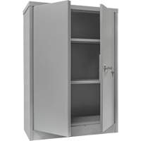 Armoire de rangement &agrave; hauteur de comptoir, Acier, 2 Tablettes, 42" h x 48" la x 24" P, Gris Nia-Chem Ltd.
