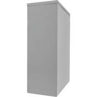 Armoire de rangement &agrave; hauteur de comptoir, Acier, 2 Tablettes, 42" h x 48" la x 24" P, Gris Nia-Chem Ltd.