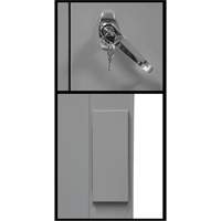 Armoire de rangement &agrave; hauteur de comptoir, Acier, 2 Tablettes, 42" h x 48" la x 24" P, Gris Nia-Chem Ltd.