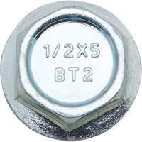 Boulons Wedge Bolts, Acier au carbone, 1/2" x 2" Nia-Chem Ltd.