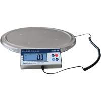 Keg Weighing Scale, 200 kg Capacity Nia-Chem Ltd.
