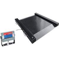 DEFENDER Floor Scale, 1000 lbs. Capacity, 30" L x 30" W Nia-Chem Ltd.