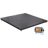 DEFENDER 3000 Floor Scale, 2500 lbs. Capacity, 48" W x 48" L Nia-Chem Ltd.