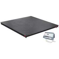DEFENDER 5000 Floor Scale, 2500 lbs. Capacity, 48" W x 48" L Nia-Chem Ltd.