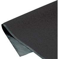 Tapis ColorStar, Essuie-pieds, 4' x 6' x 3/8", Charbon Nia-Chem Ltd.