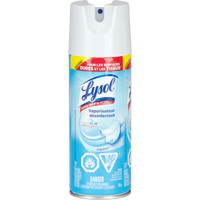 Disinfectant Spray, 350 g, Aerosol Can Nia-Chem Ltd.