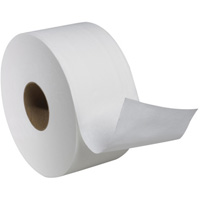 Advanced Soft Mini Toilet Paper, Jumbo Roll, 2 Ply, 751' Length, White JB565 | Nia-Chem Ltd.