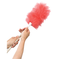 Chiffons à épousseter  