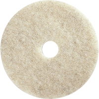 Floor Maintenance Pads, 21", Burnishing, Brown Nia-Chem Ltd.