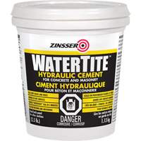 Watertite&reg; Hydraulic Cement Nia-Chem Ltd.