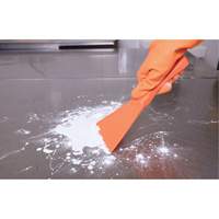 Racloir manuel grand format, Rose, 4" la x 10" lo Nia-Chem Ltd.