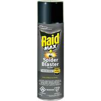 Raid<sup>®</sup> Max<sup>®</sup> Spider Blaster Bug Killer Insecticide, 500 g, Aerosol Can, Solvent Base JM270 | Nia-Chem Ltd.