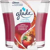 Glade&reg; Jar Candle, Apple Cinnamon Nia-Chem Ltd.