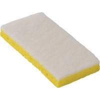 &eacute;ponge &agrave; r&eacute;curer pour travaux l&eacute;gers 745W, 6-1/4" lo x 3-1/5" la Nia-Chem Ltd.