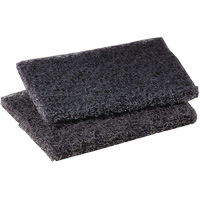 Scotch-Brite Griddle Polishing Pad, 4" L x 5" W Nia-Chem Ltd.