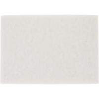 Tampon pour planchers TopLine Speed, 14" x 20", Lustrage/Nettoyage/Polissage, Blanc Nia-Chem Ltd.