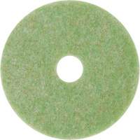 Tampon de m&eacute;lange naturel, 12", &agrave; r&eacute;curer, Vert Nia-Chem Ltd.