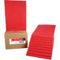 Tampon de nettoyage pour tapis, 14" x 20", Lustrage/Nettoyage, Rouge Nia-Chem Ltd.