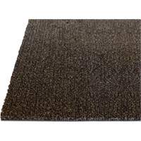 Palliser Indoor Matting, Wiper/Scraper, 3-1/2' x 6' x 5/16", Anglis Nia-Chem Ltd.