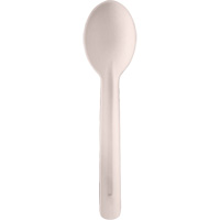 Bagasse Compostable Spoons JQ132 | Nia-Chem Ltd.