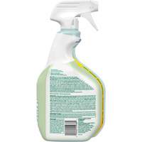 Nettoyant d&eacute;sinfectant CloroxPro Clorox EcoClean, 946 ml, Bouteille &agrave; g&acirc;chette Nia-Chem Ltd.
