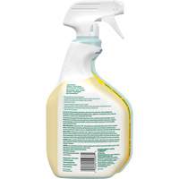 Nettoyant tout usage CloroxPro Clorox EcoClean, 946 ml, Bouteille &agrave; g&acirc;chette Nia-Chem Ltd.