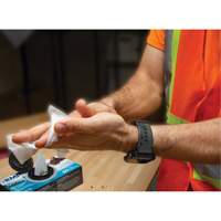 Individually Wrapped Cleaning Wipes, 12 Wipes, 8" x 9-1/2" Nia-Chem Ltd.