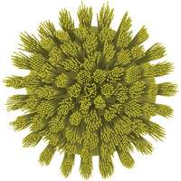 Brosse ronde HyDrive pour perceuse, Soies Tr&egrave;s ferme, Longueur de 3-1/10", Jaune Nia-Chem Ltd.