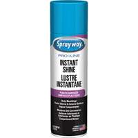 Brillant instantan&eacute; Pro Line pour surfaces en plastique, 11 oz, Canette a&eacute;rosol Nia-Chem Ltd.