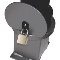 Removable Ornamental Bollards, Steel, 40" H x 4-1/2" W, Black Nia-Chem Ltd.