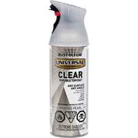 Couche de finition durable Universal, 312 g, Canette a&eacute;rosol, Perle givr&eacute;e Nia-Chem Ltd.