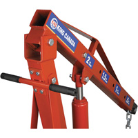 Grues d'atelier escamotables de 2 tonnes, Capacit&eacute; 4000 lb (2 tonnes) Nia-Chem Ltd.