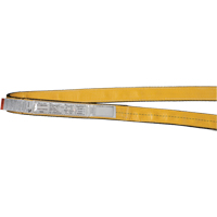 &eacute;lingues de levage en polyester, Pli Simple, Sans fin, Type 5, 1" la x 3' lo, Capacit&eacute; verticale 3200 lb Nia-Chem Ltd.