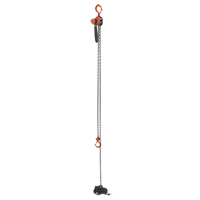 Mini Lever Hoist, 15' Lift, 500 lbs. (0.25 tons) Capacity, Steel Chain Nia-Chem Ltd.