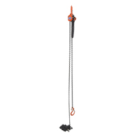 Mini Lever Hoist, 15' Lift, 1000 lbs. (0.5 tons) Capacity, Steel Chain Nia-Chem Ltd.