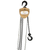 Heavy-Duty Gold Series Chain Hoist, 10' Lift, 2000 lbs. (1 tons) Capacity, Alloy Steel Chain Nia-Chem Ltd.